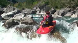 Mittlerer Rio Ara