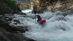 Mittlerer Rio Ara