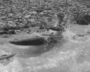 vord_002
